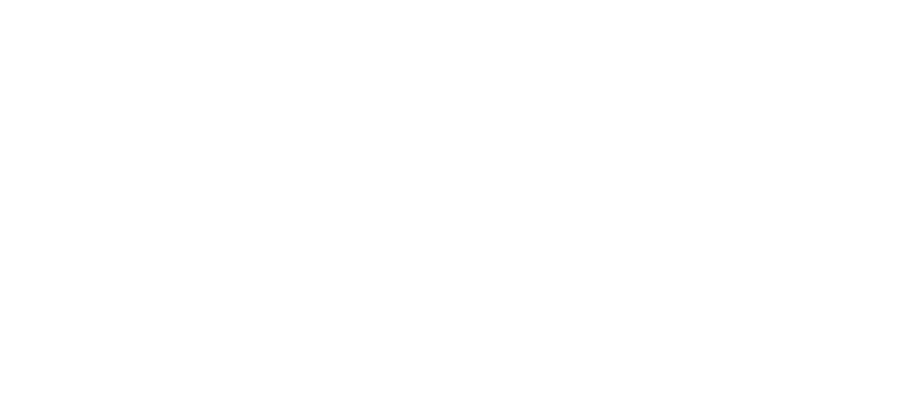 Logo Fan Capital